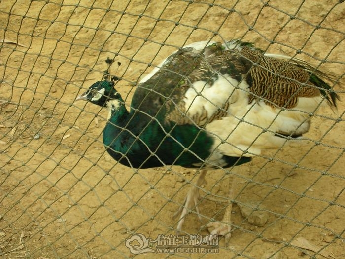 DSCN0519.JPG