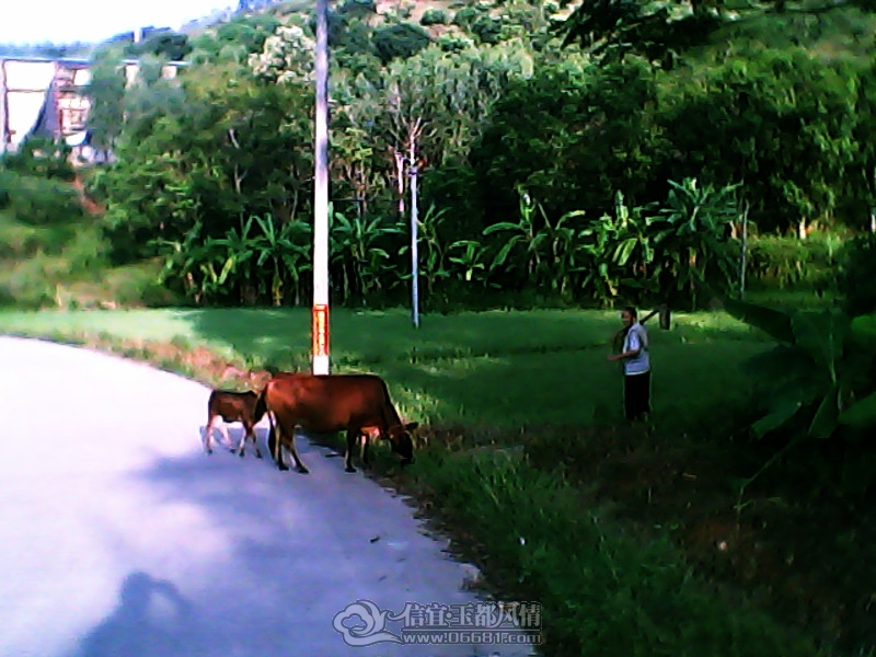 DSC_0000486_����.jpg