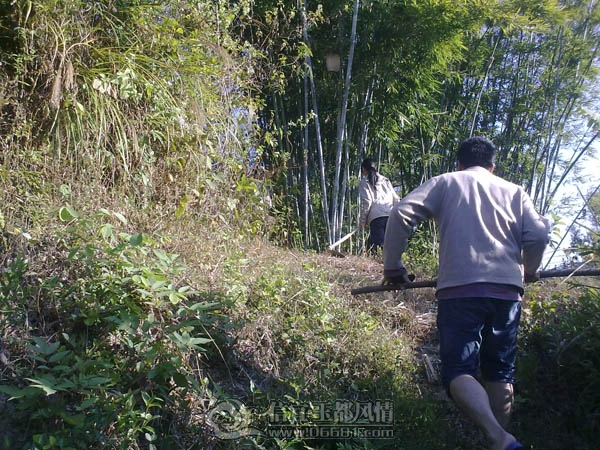 201112043249.jpg