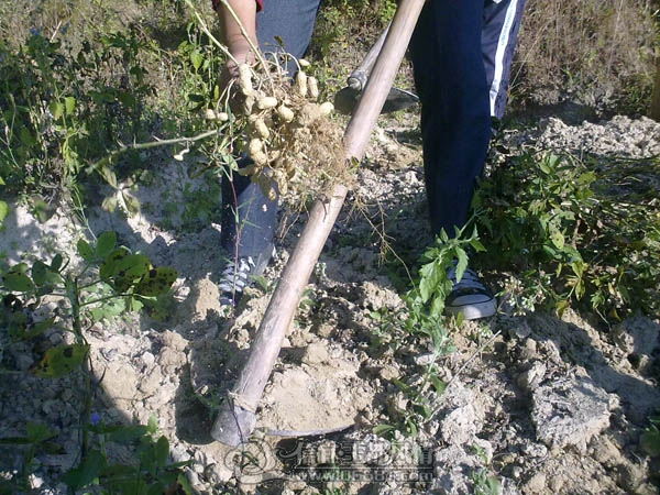 201112043257.jpg
