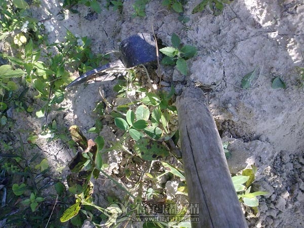 201112043260.jpg