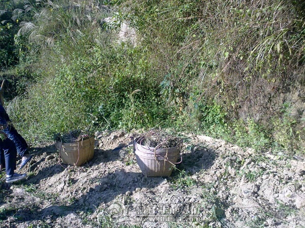 201112043264.jpg