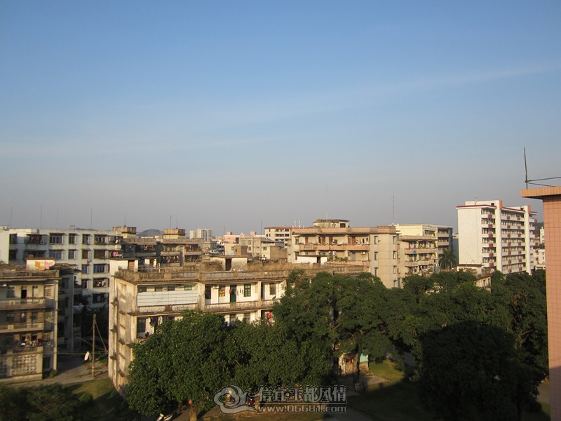 IMG_1516_����.jpg