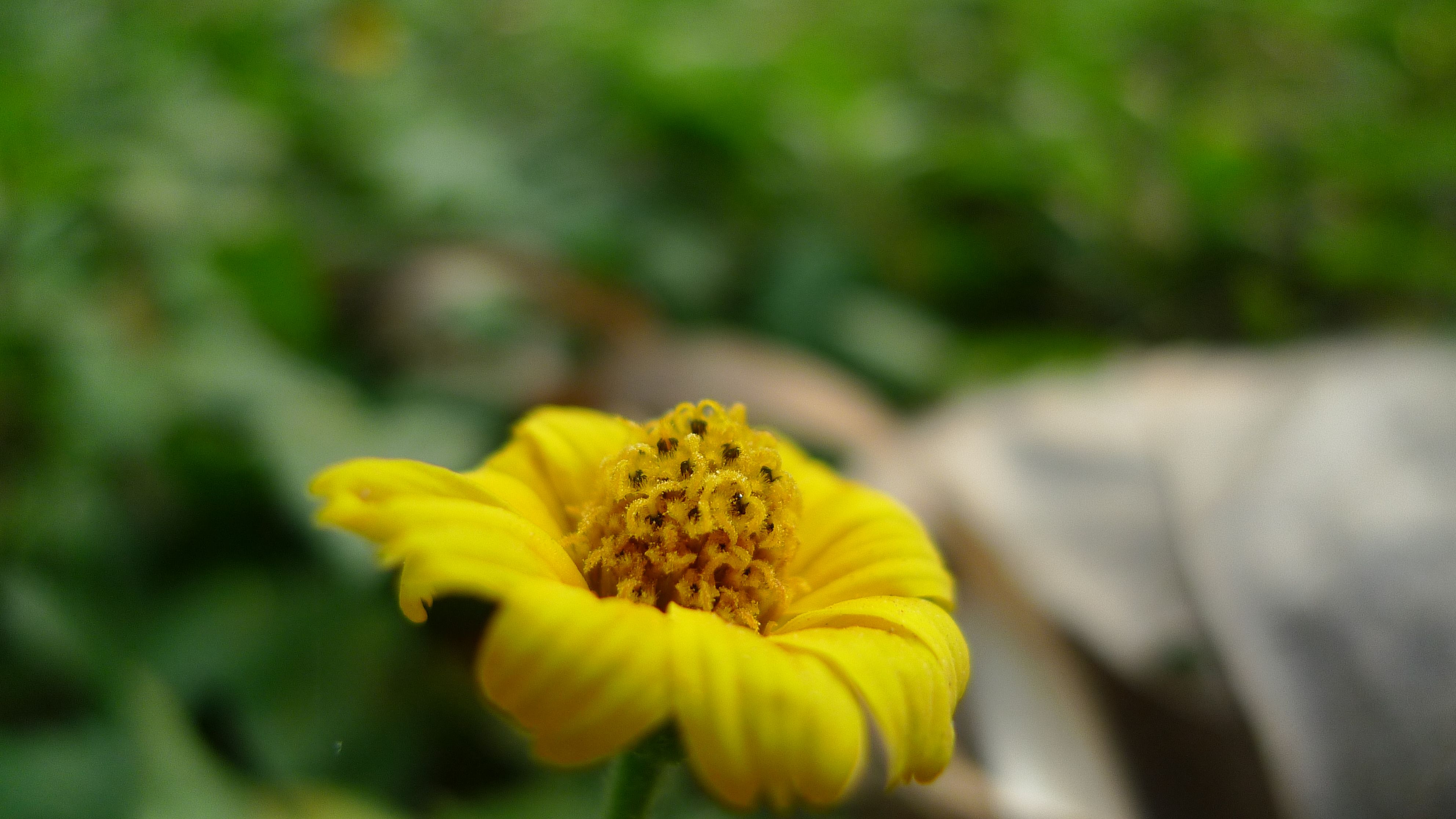 P1000088.jpg