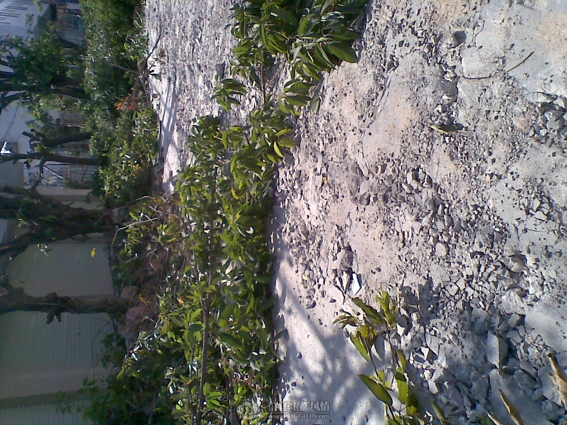 20111204(001).jpg
