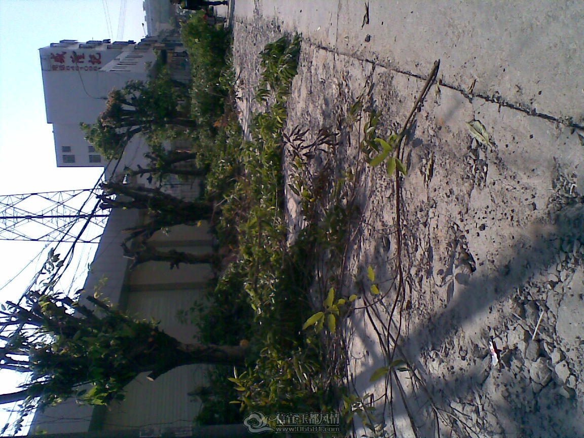 20111204(002).jpg