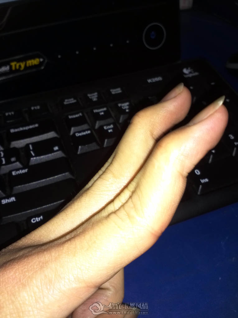 IMG204.jpg