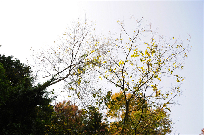 DSC_8072.jpg