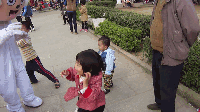 M4H00137_clip.gif