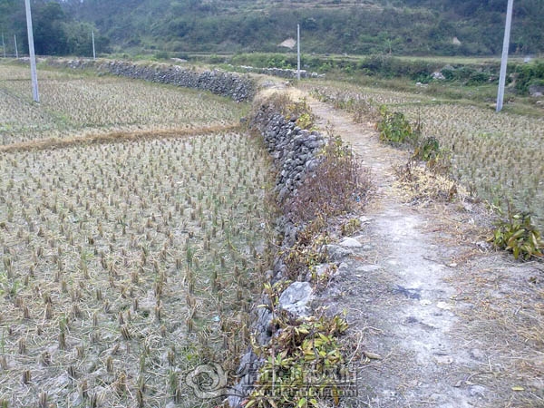 201112063379.jpg