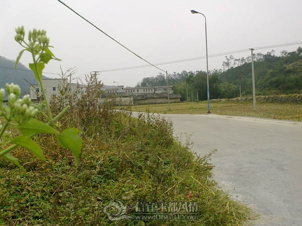 201112063377.jpg
