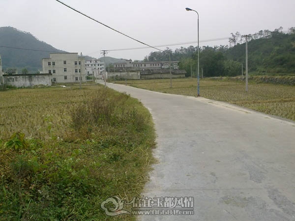 201112063375.jpg