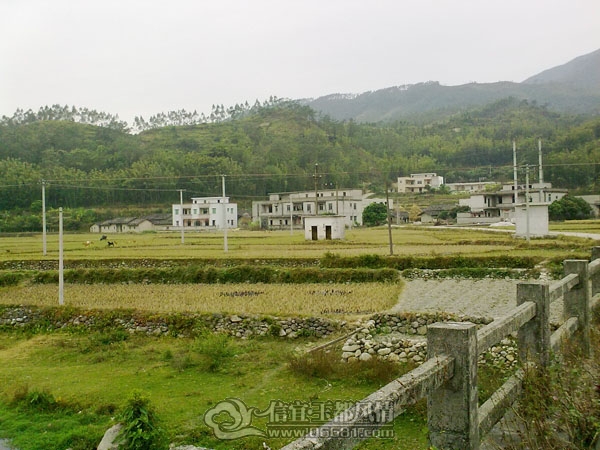 201112063372.jpg