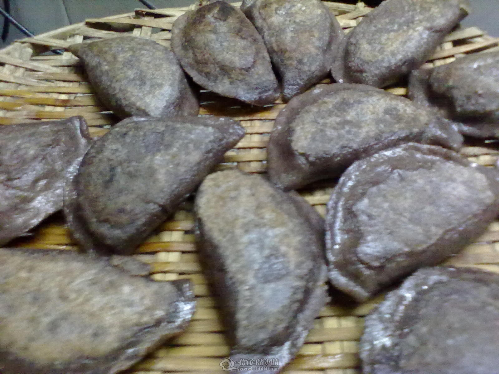 201201071242.jpg