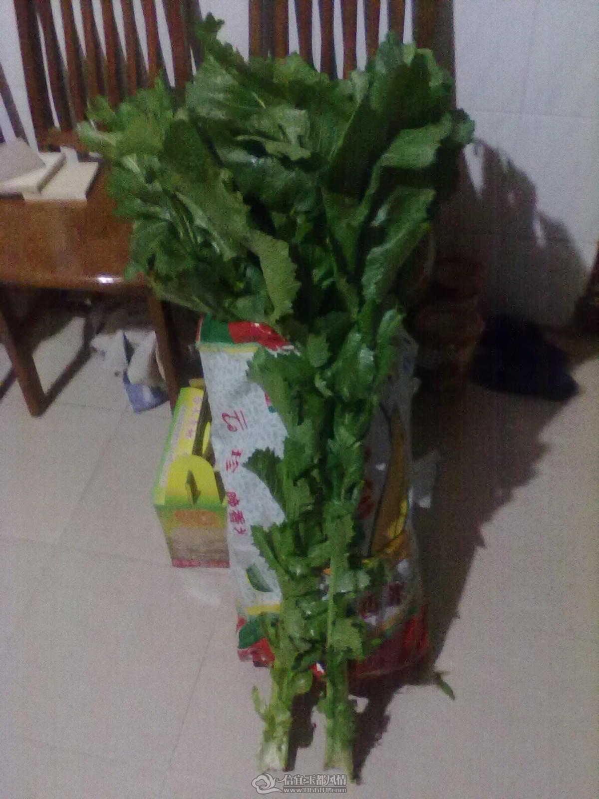 201201081245.jpg