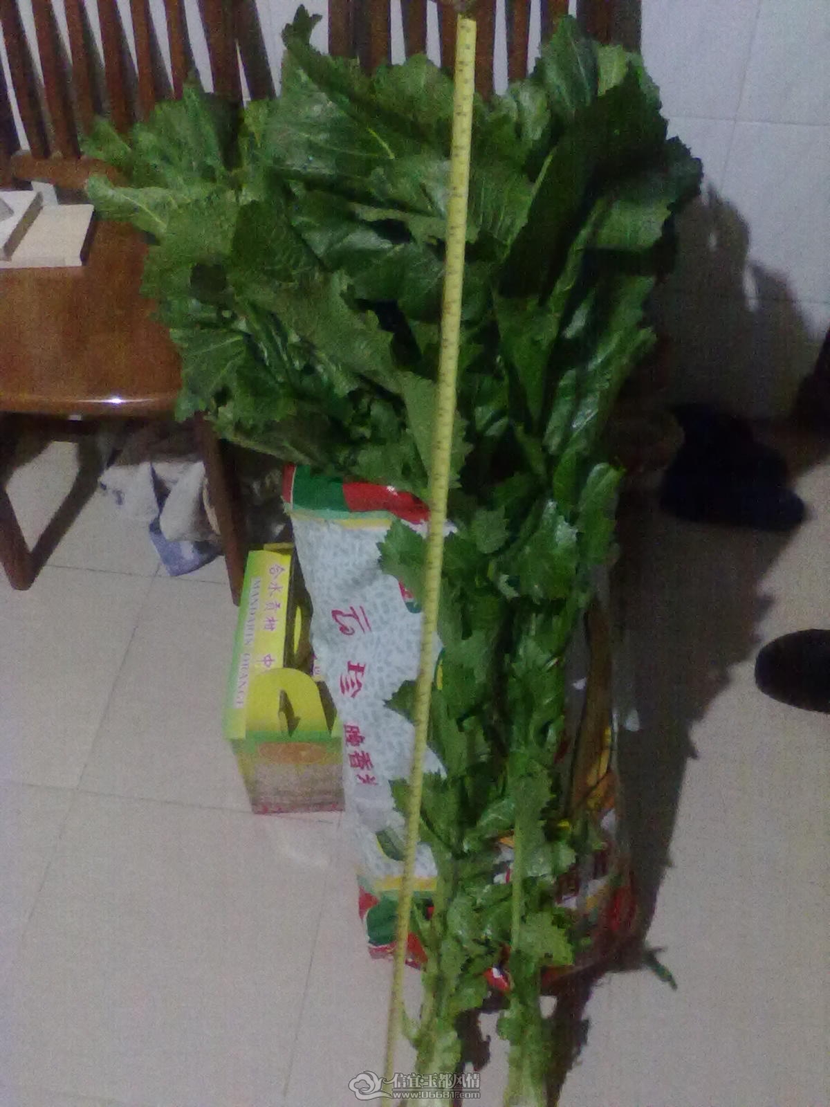 201201081246.jpg