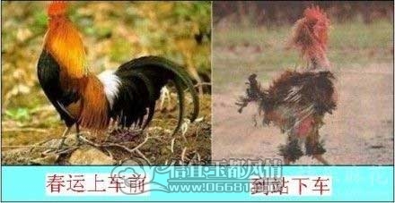 2012011201.jpg