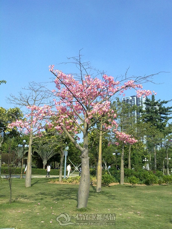20111129147.jpg