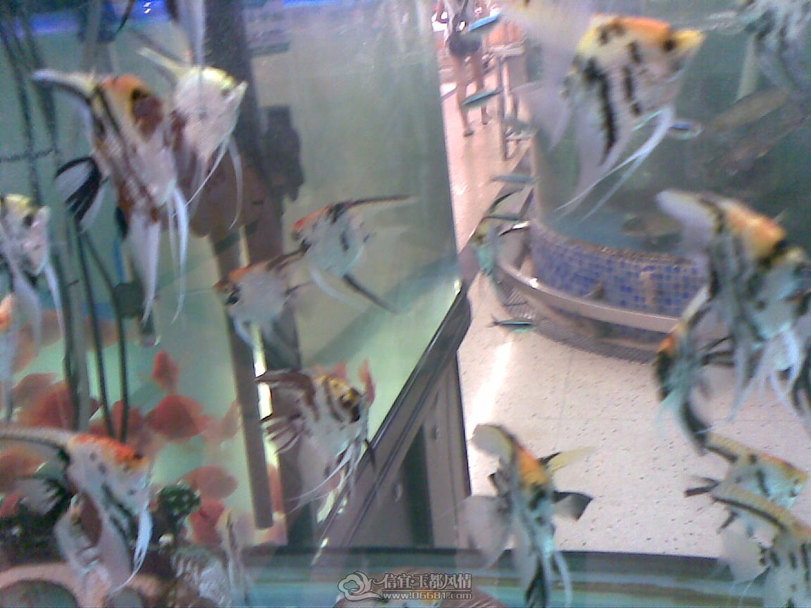 20110928(006).jpg