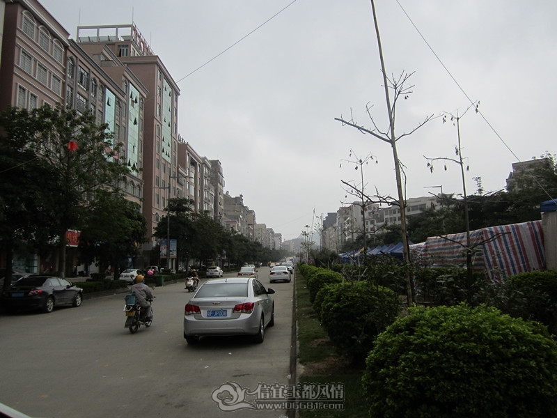 img_2293_����.jpg