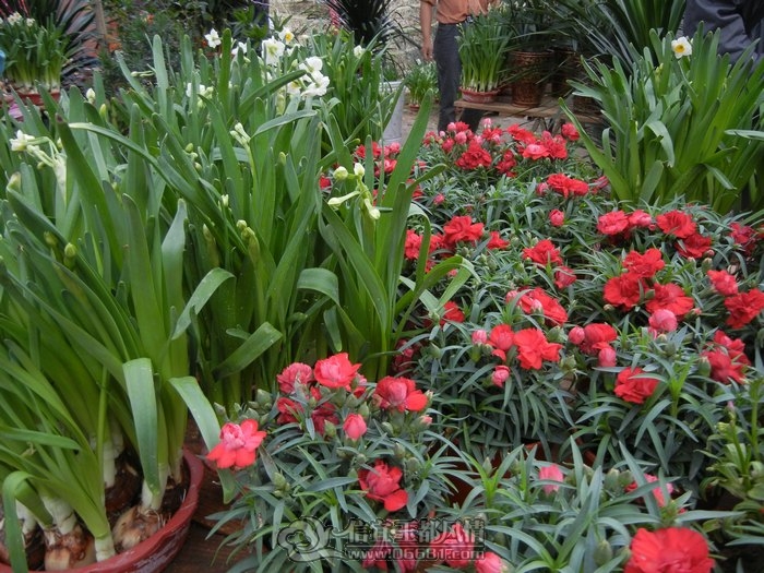 DSCN0762.jpg
