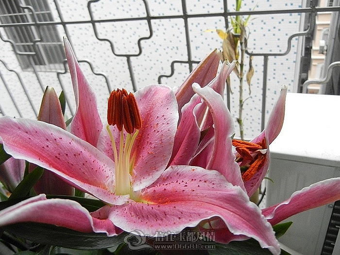 DSCN0779.jpg