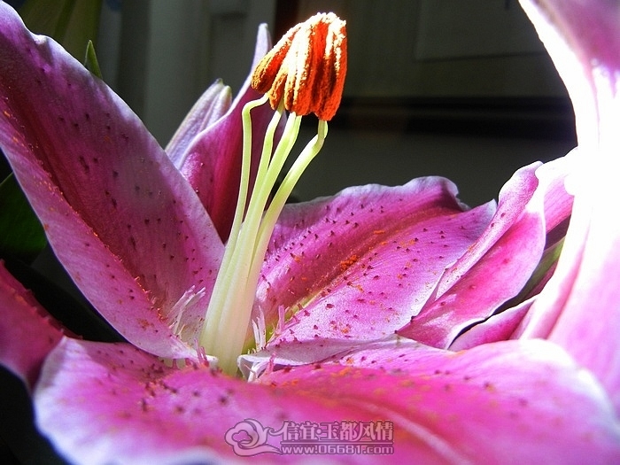 DSCN0783.jpg