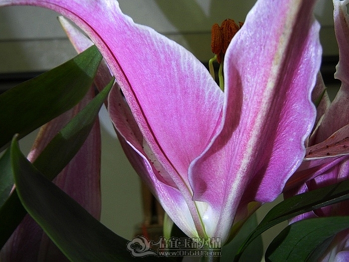 DSCN0792.jpg
