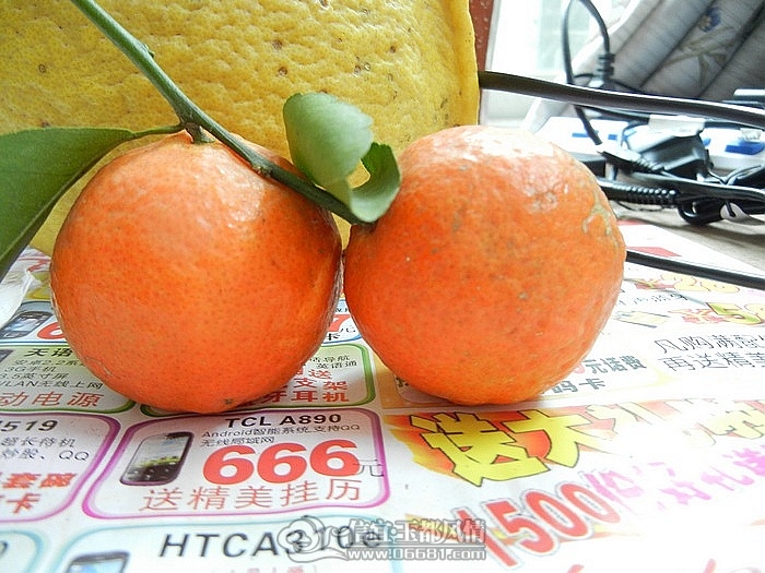 DSCN0808.jpg