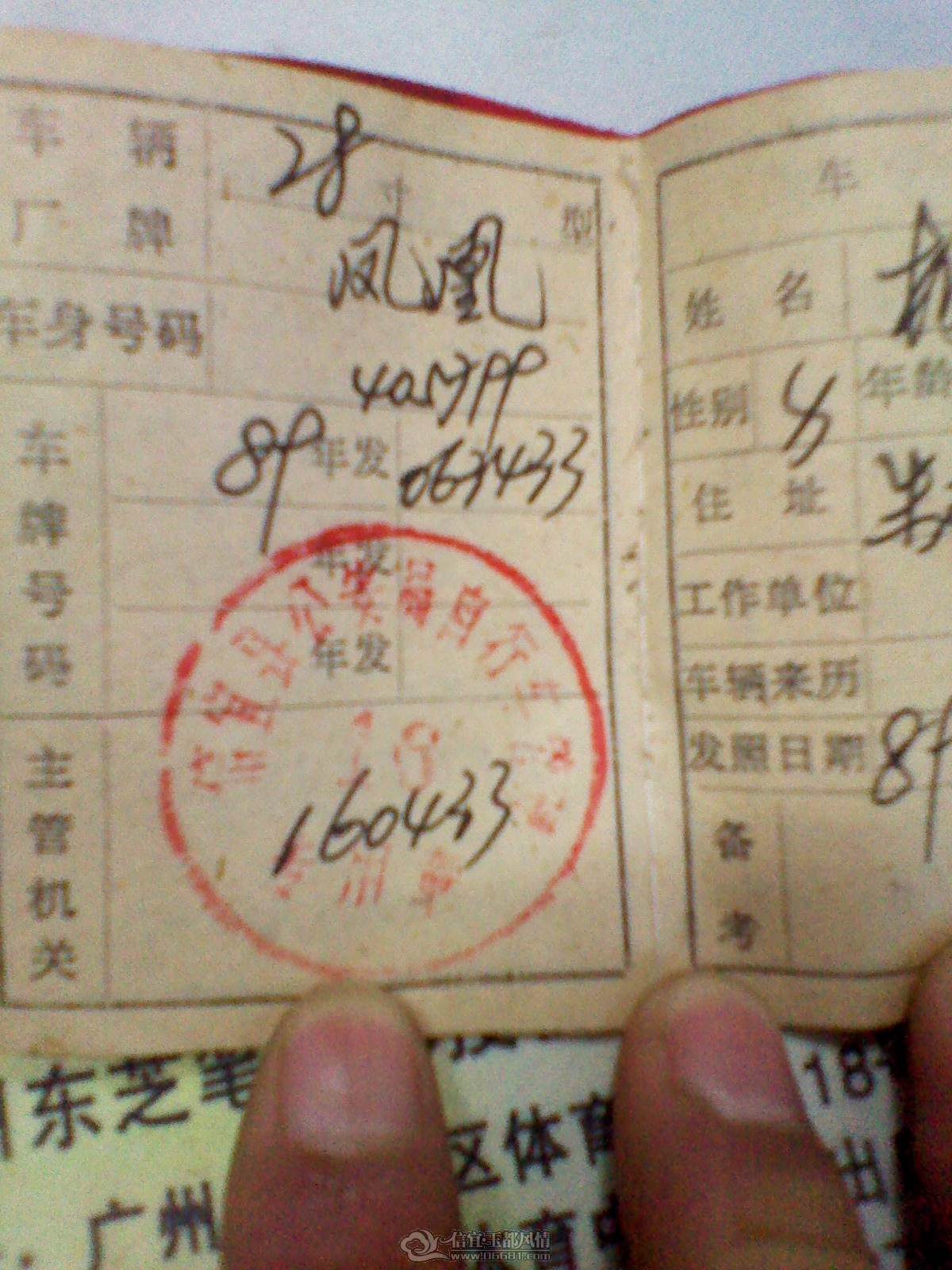 IMG_20120127_181737.jpg