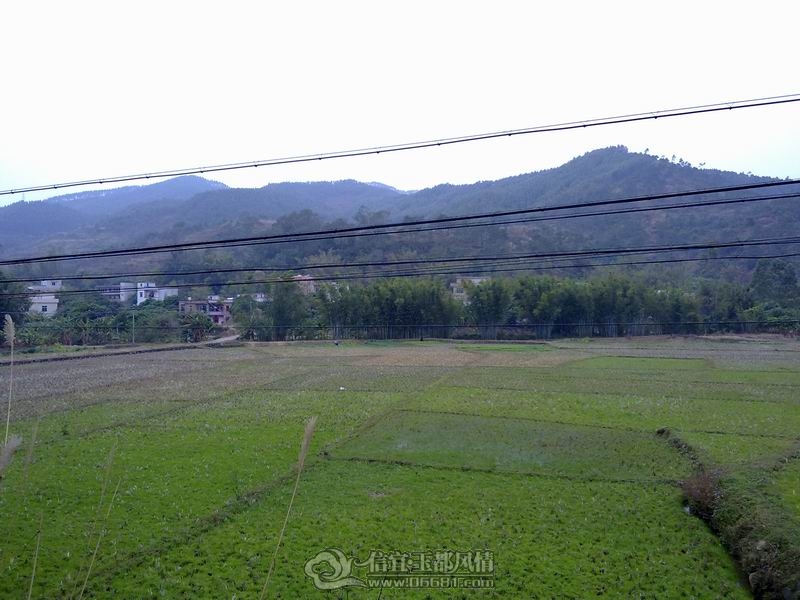 20120125062.jpg