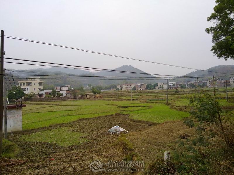 20120125063.jpg