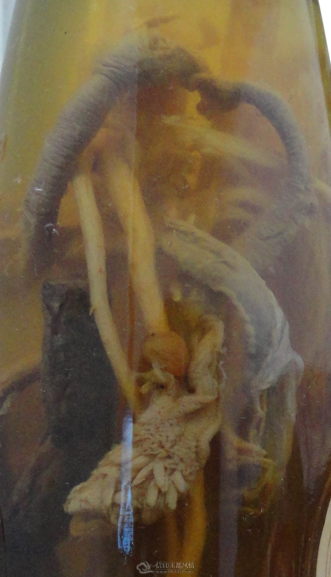 DSC01025.jpg