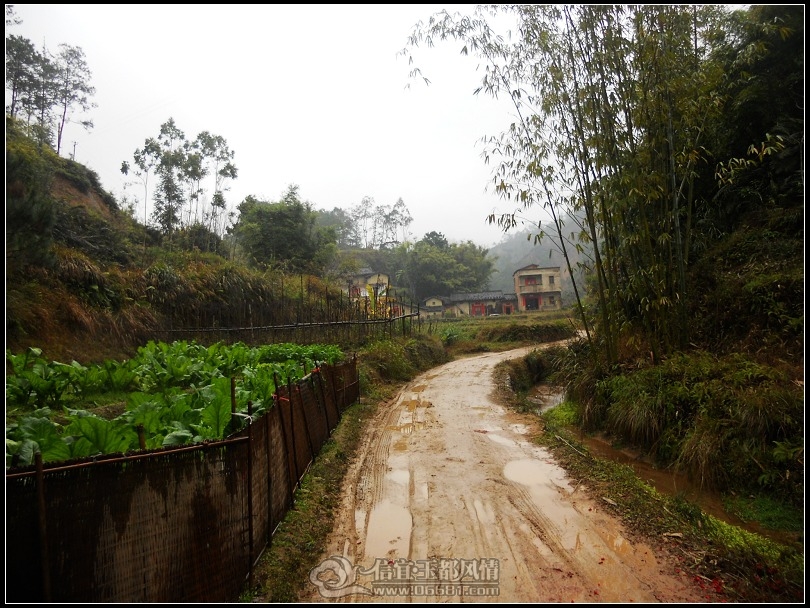 DSCN0170.JPG