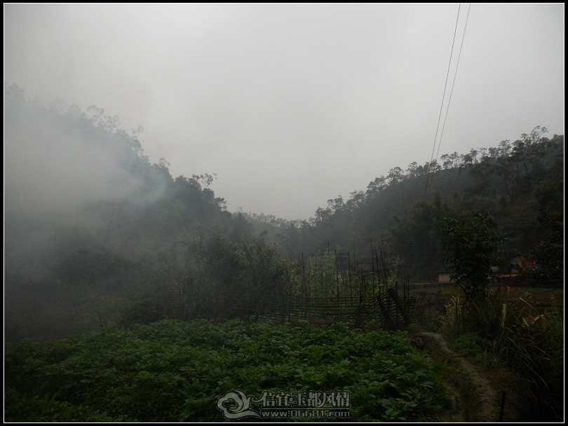DSCN0196.JPG