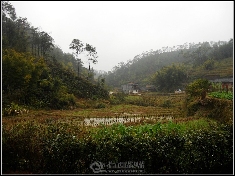 DSCN0205.JPG