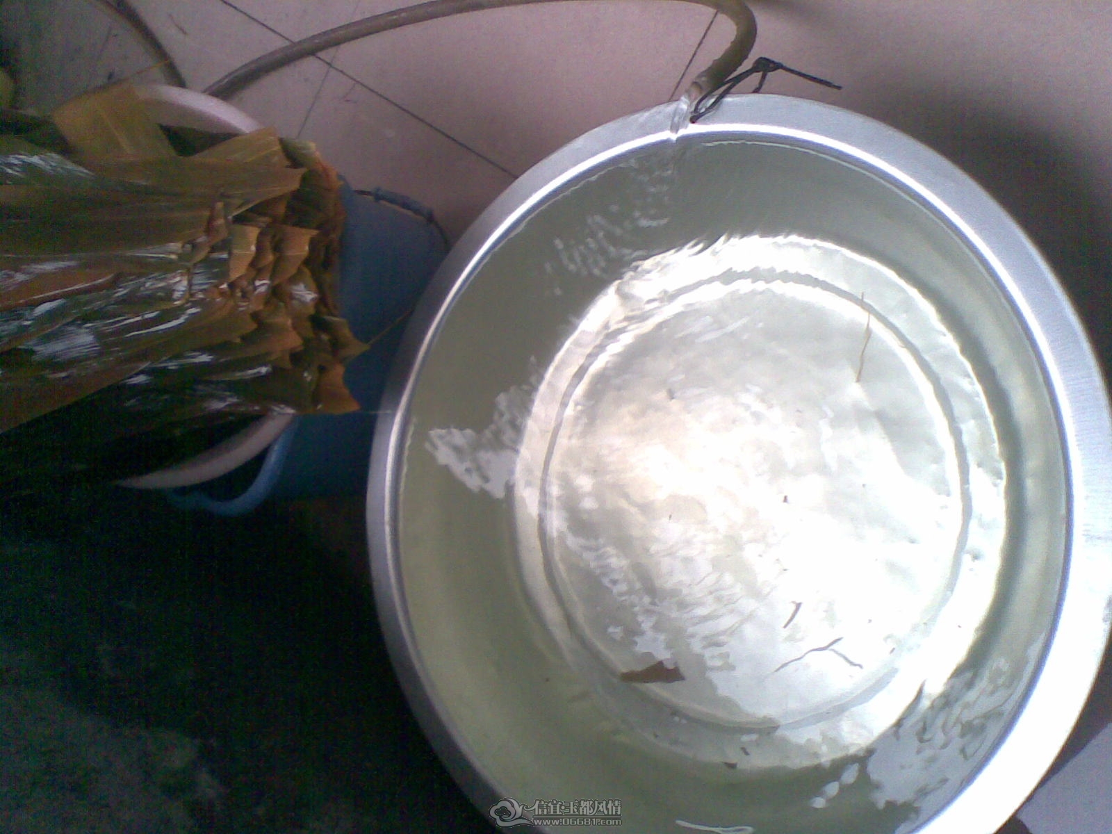 20120122(002).jpg