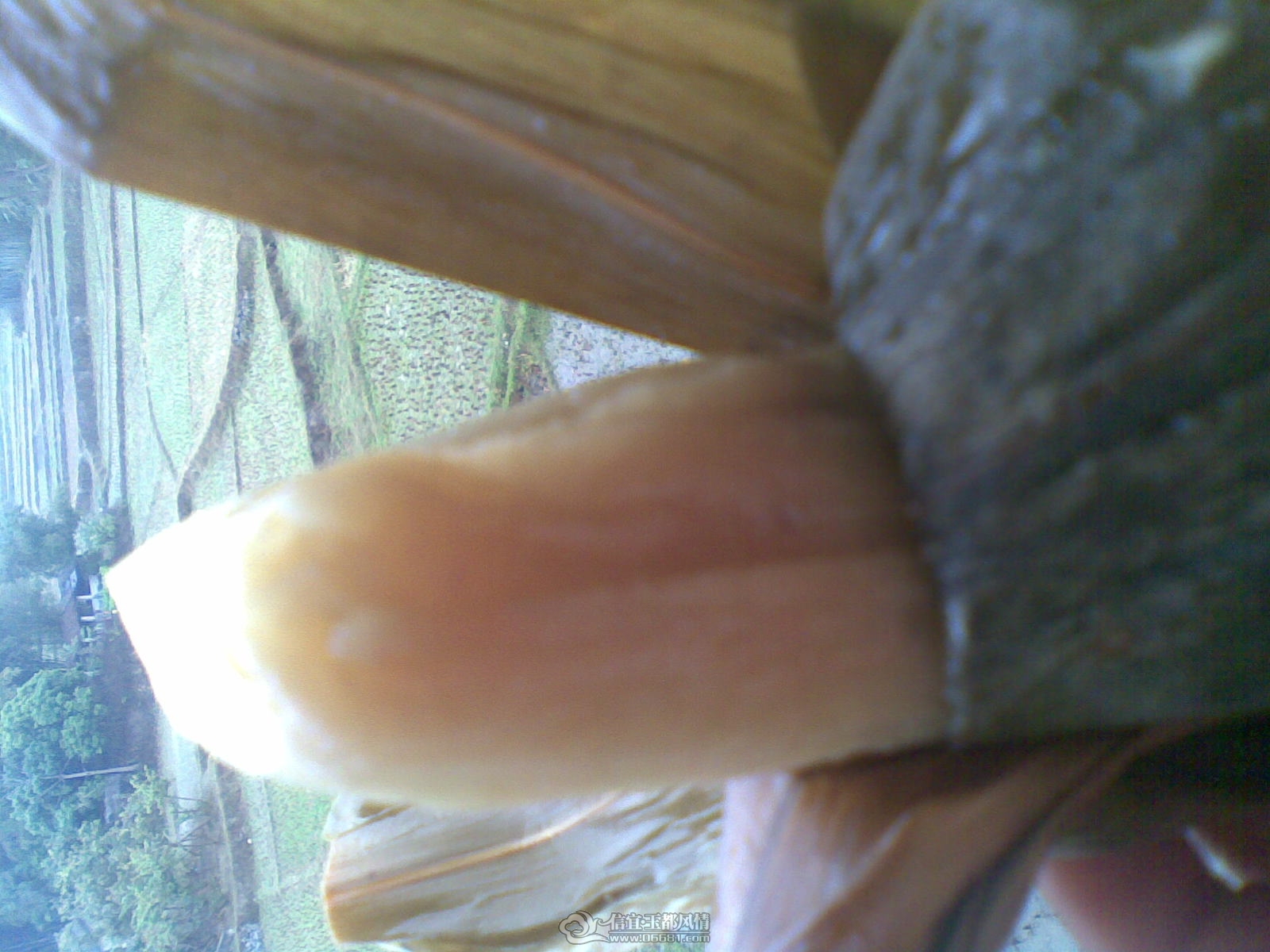 20120124(001).jpg