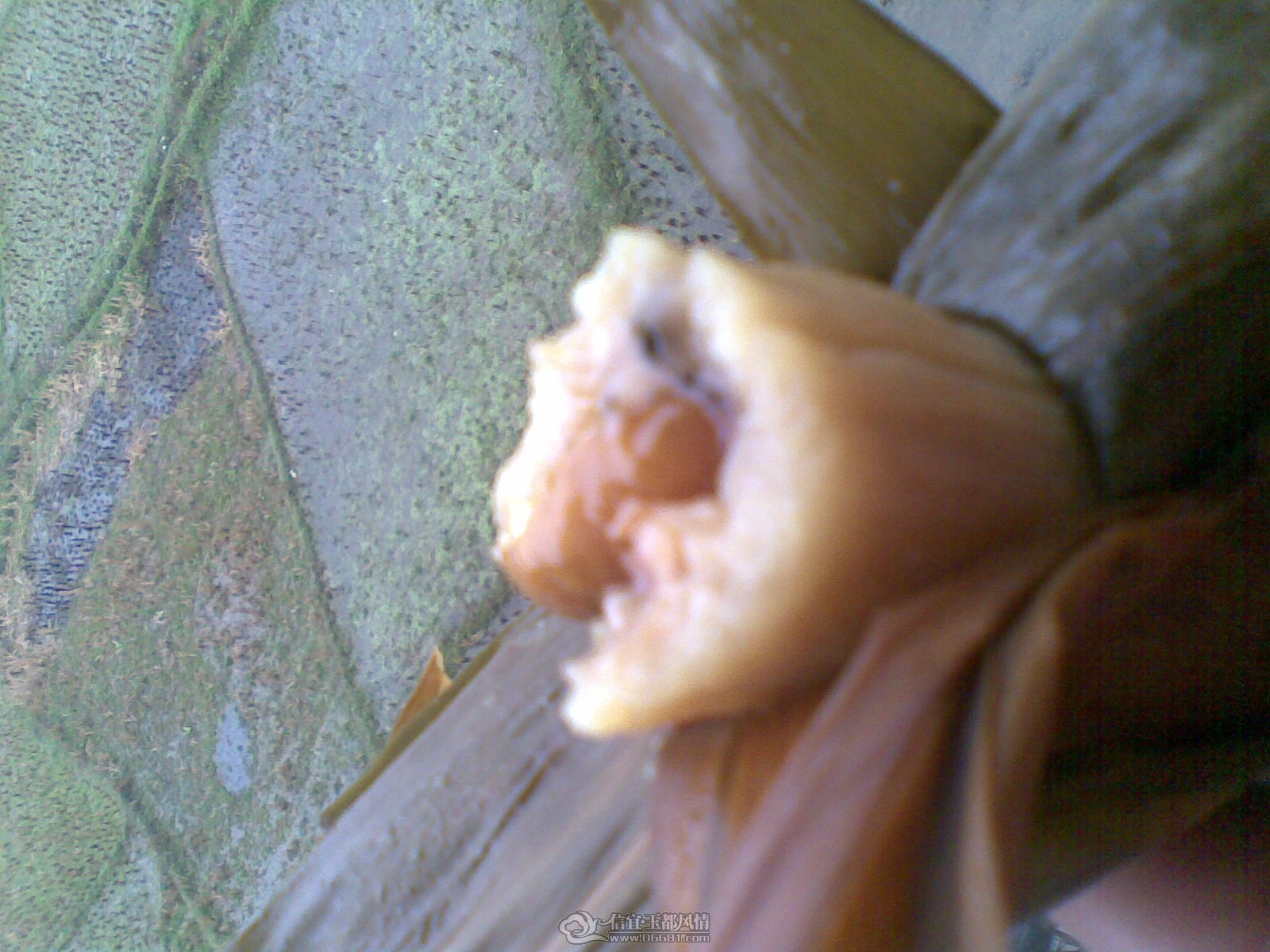 20120124(002).jpg