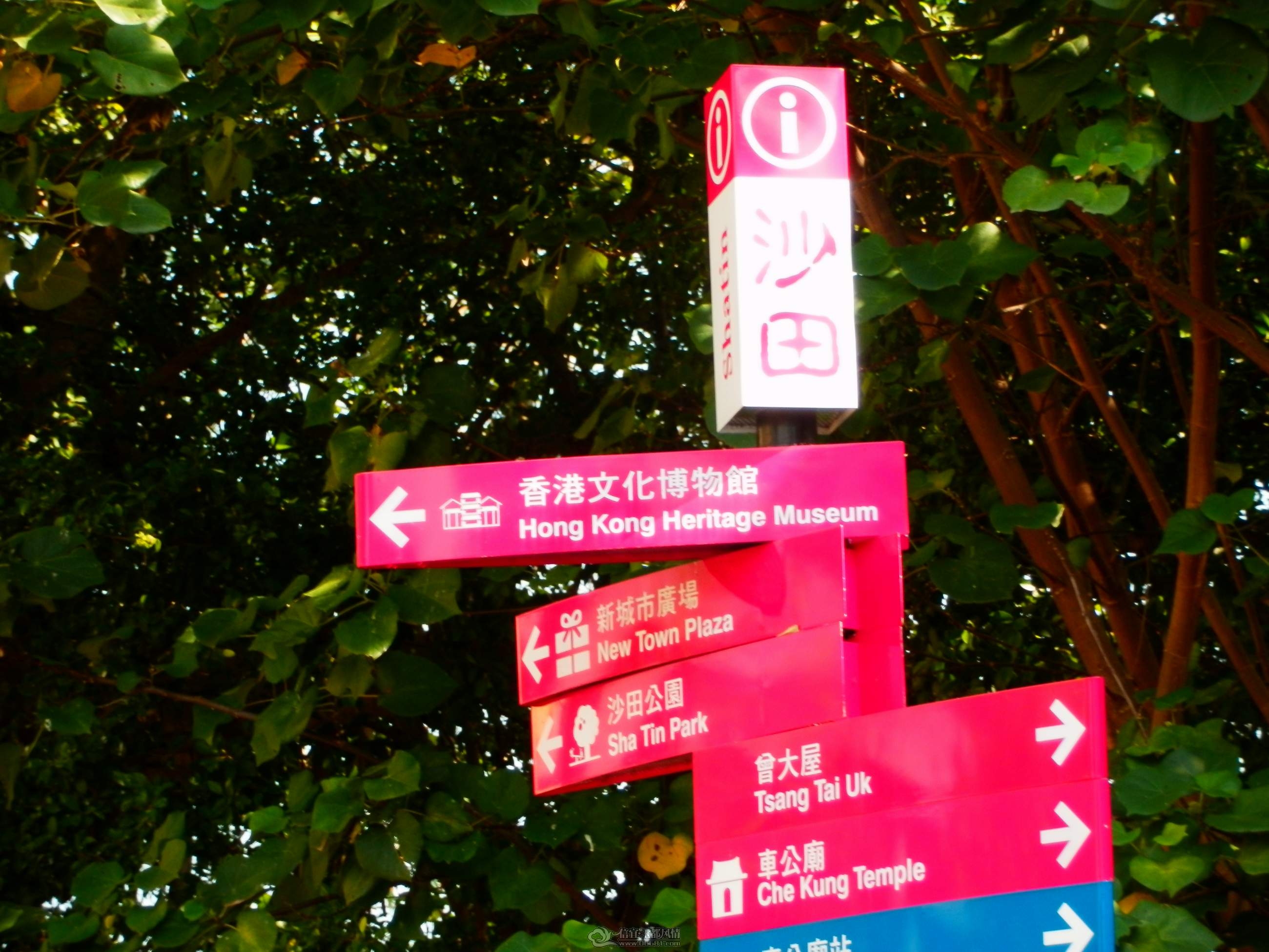 P2010220.JPG
