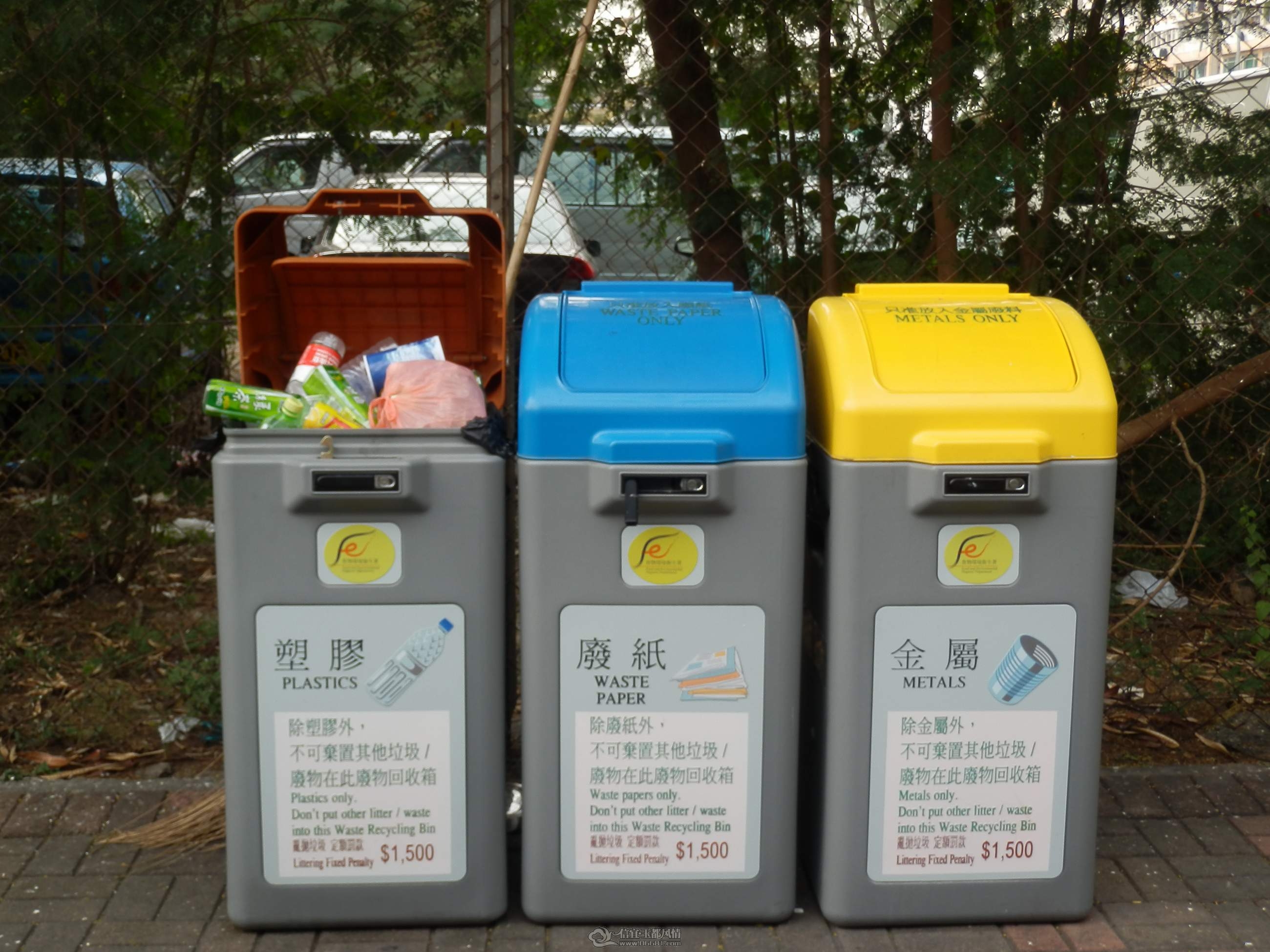 P1030064.JPG