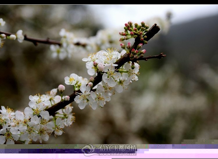IMG_6193_conew1.jpg