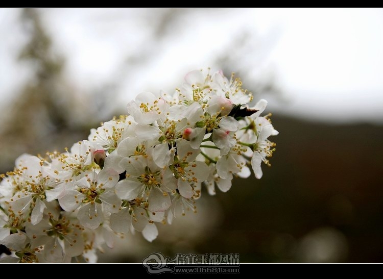 IMG_6196_conew1.jpg