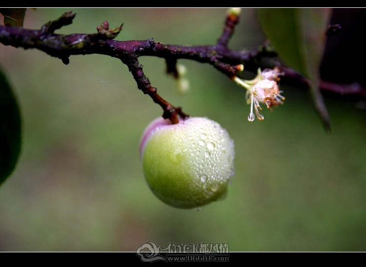 IMG_6443_conew1.jpg