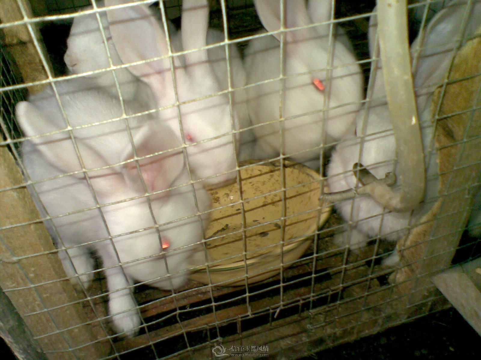 20120122(004).jpg