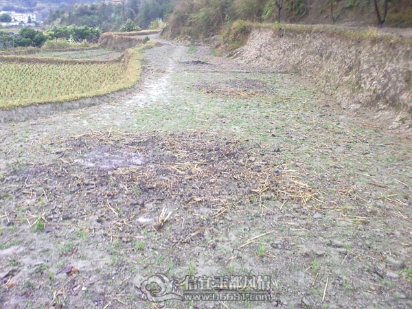 201201223582.jpg