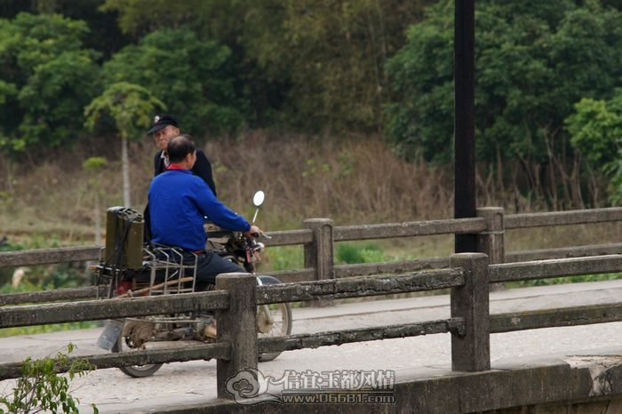 sd (7).JPG