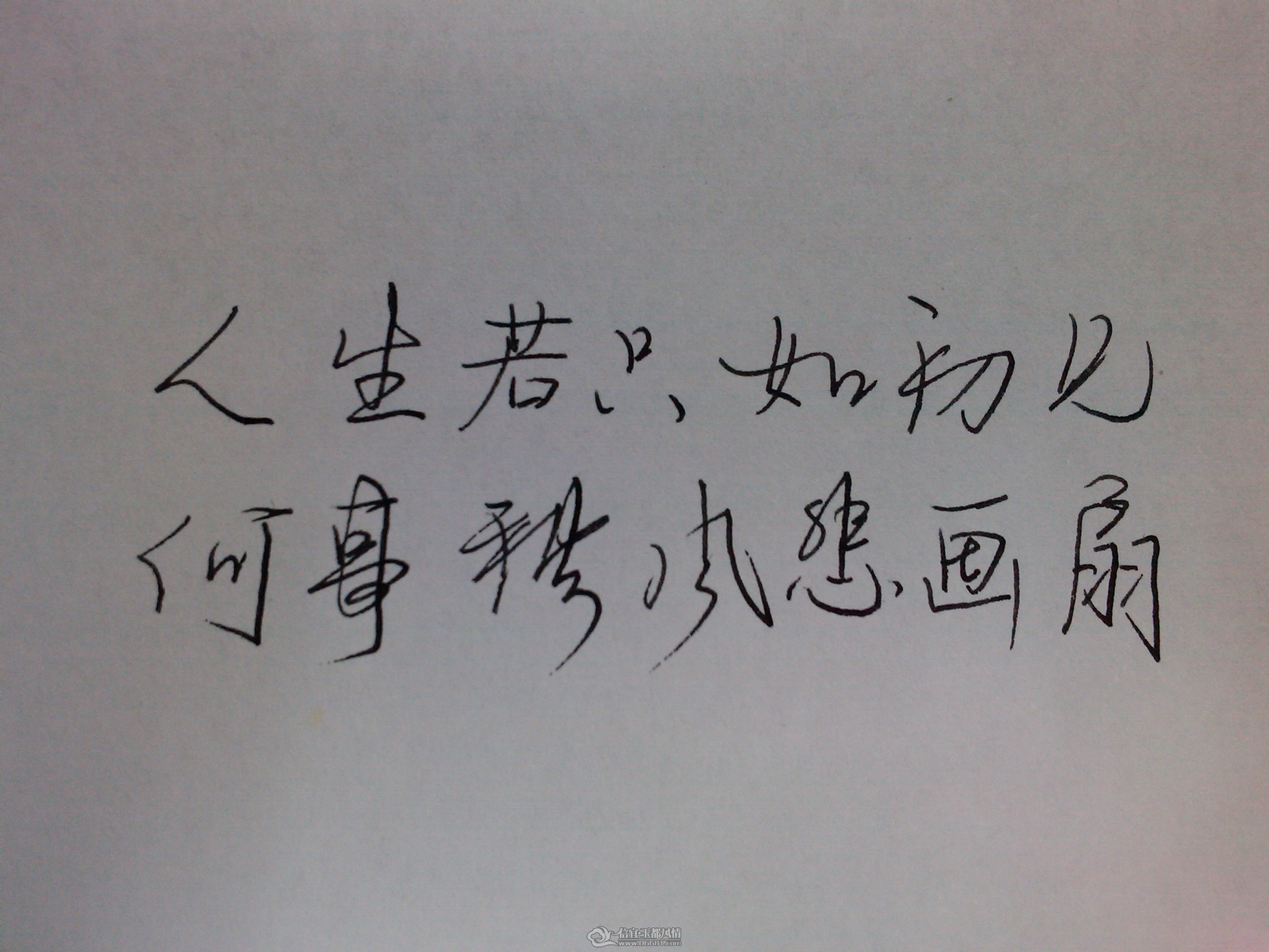 IMG_20120209_171859.jpg