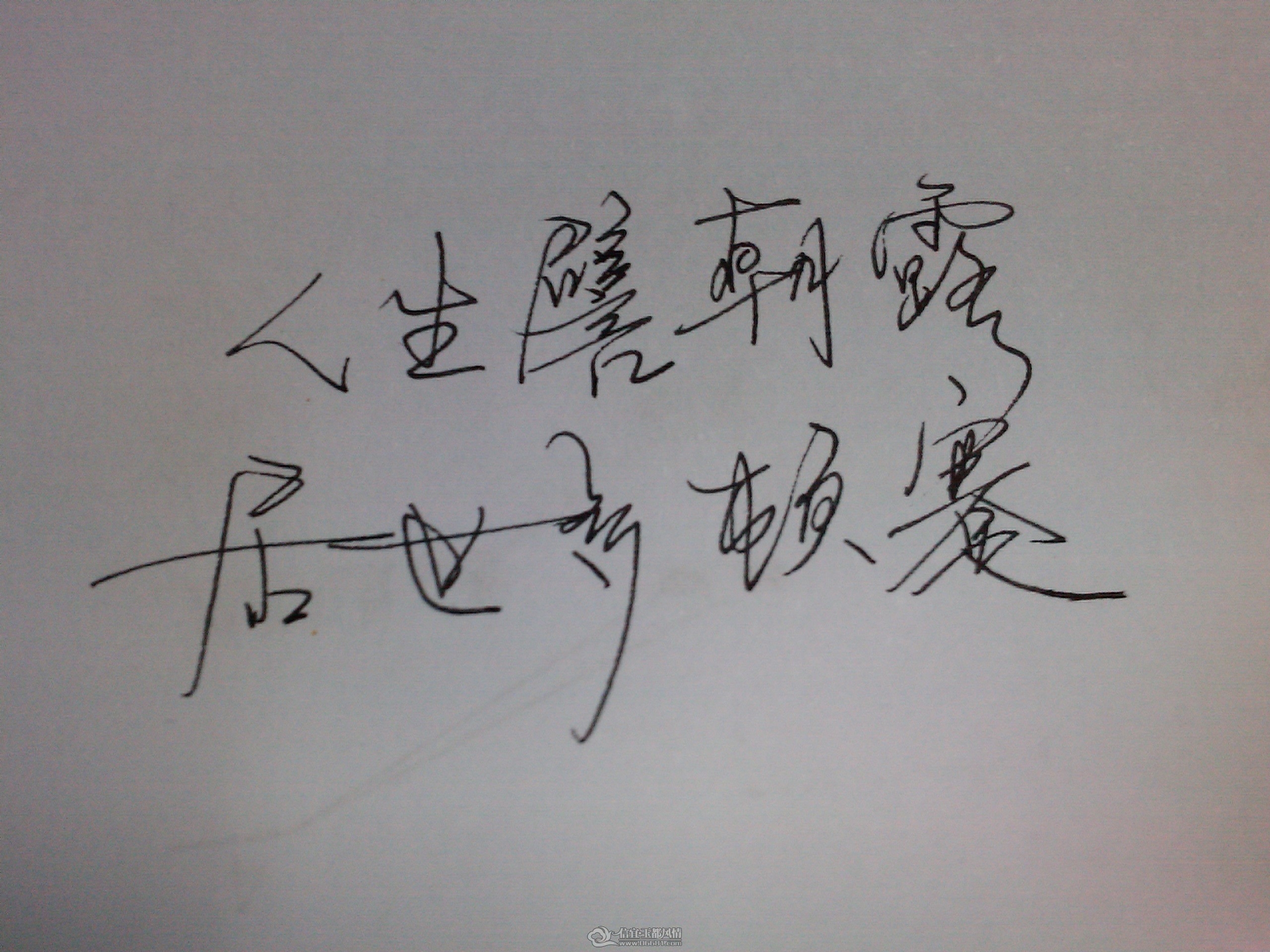 IMG_20120209_171916.jpg