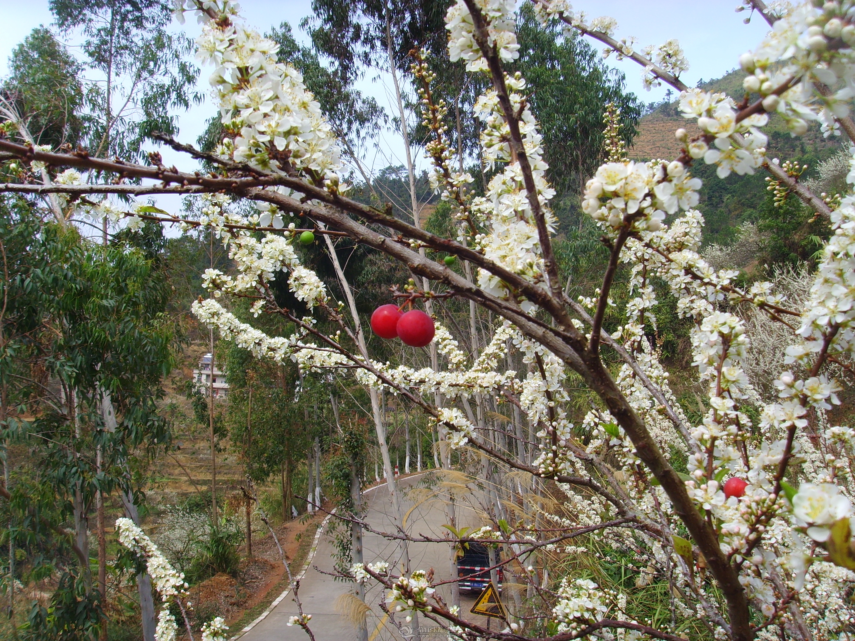 ��׺